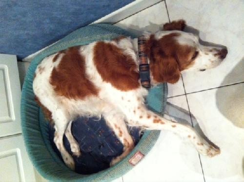 014-tckie-en-pleine-récupération